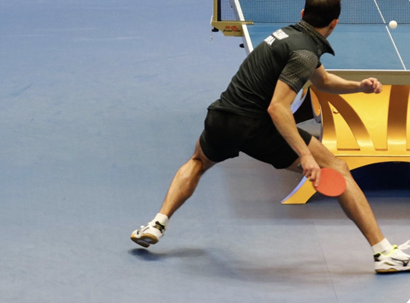 Table Tennis Flooring — photo 1